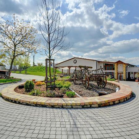 Penzion Tokaj Macik Winery B&B Mala Trna Luaran gambar
