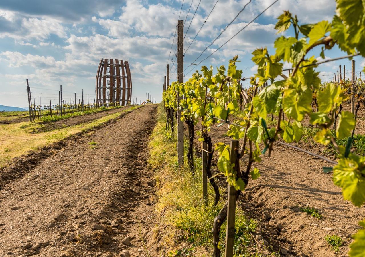 Penzion Tokaj Macik Winery B&B Mala Trna Luaran gambar