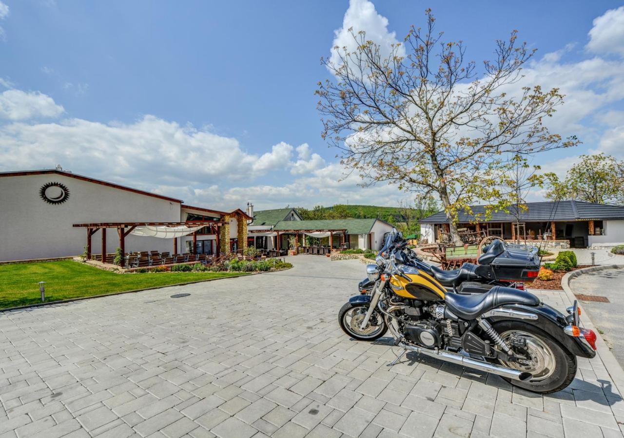 Penzion Tokaj Macik Winery B&B Mala Trna Luaran gambar