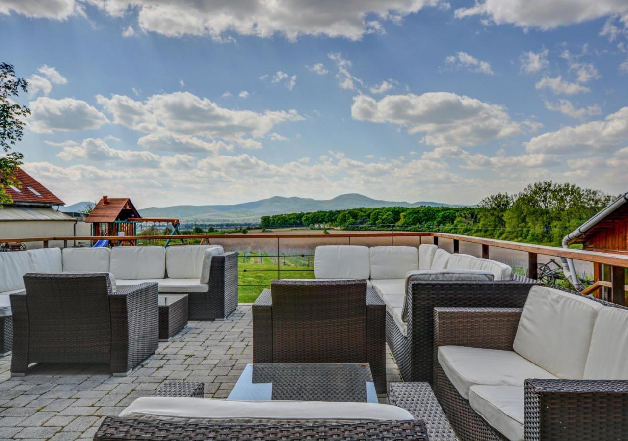 Penzion Tokaj Macik Winery B&B Mala Trna Luaran gambar