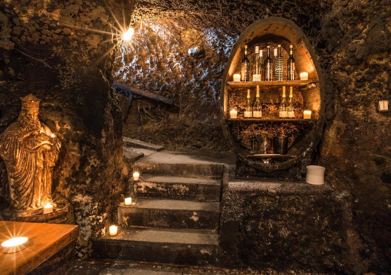 Penzion Tokaj Macik Winery B&B Mala Trna Luaran gambar
