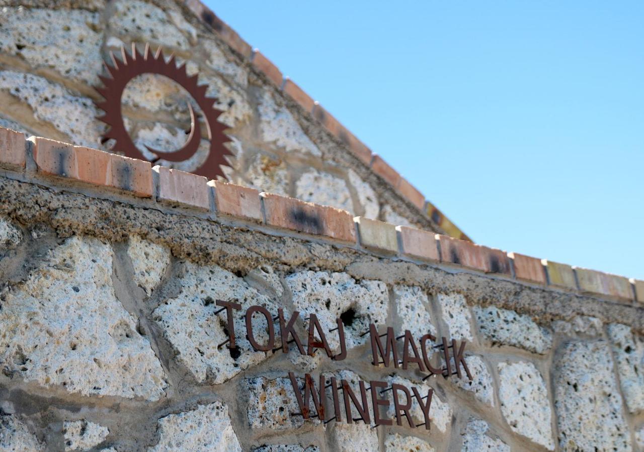 Penzion Tokaj Macik Winery B&B Mala Trna Luaran gambar