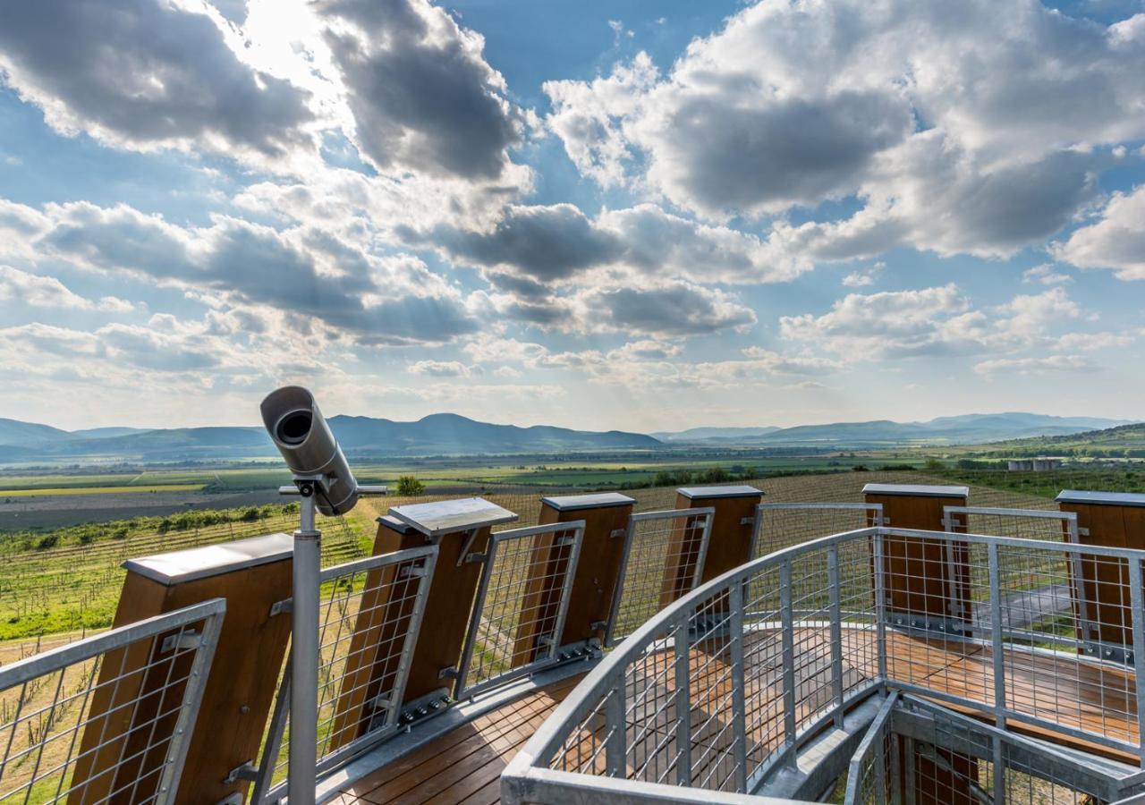 Penzion Tokaj Macik Winery B&B Mala Trna Luaran gambar