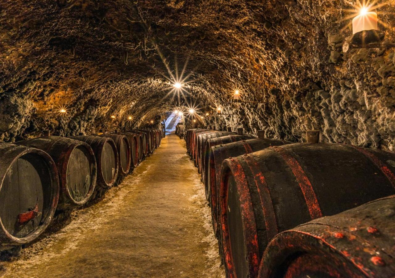Penzion Tokaj Macik Winery B&B Mala Trna Luaran gambar