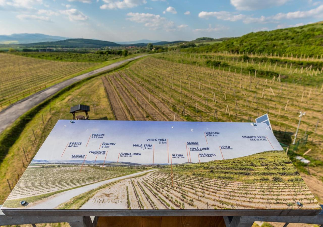 Penzion Tokaj Macik Winery B&B Mala Trna Luaran gambar