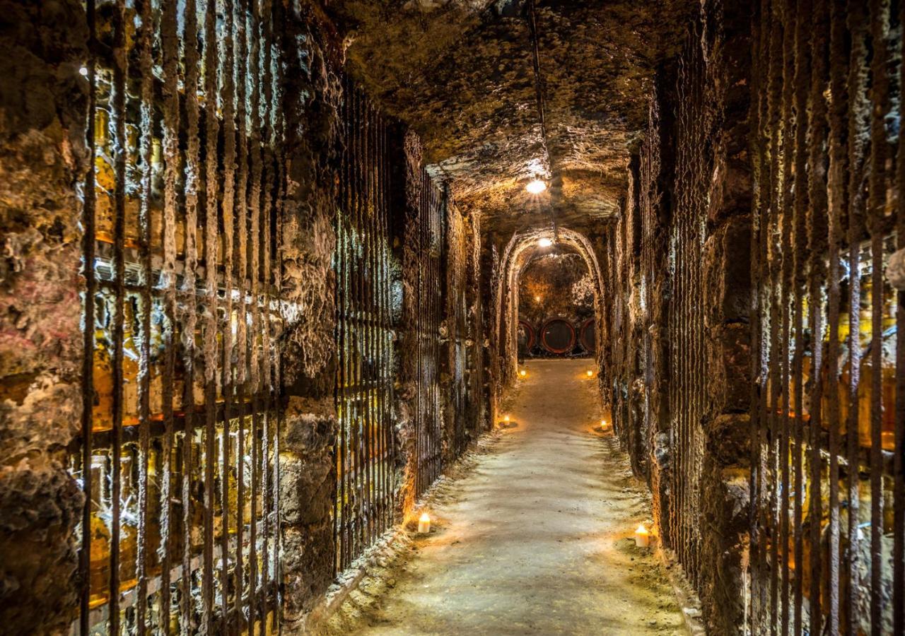 Penzion Tokaj Macik Winery B&B Mala Trna Luaran gambar