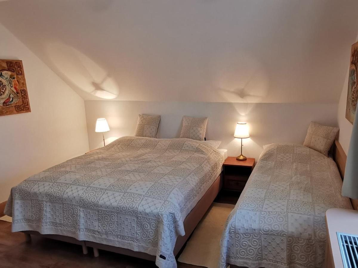Penzion Tokaj Macik Winery B&B Mala Trna Luaran gambar